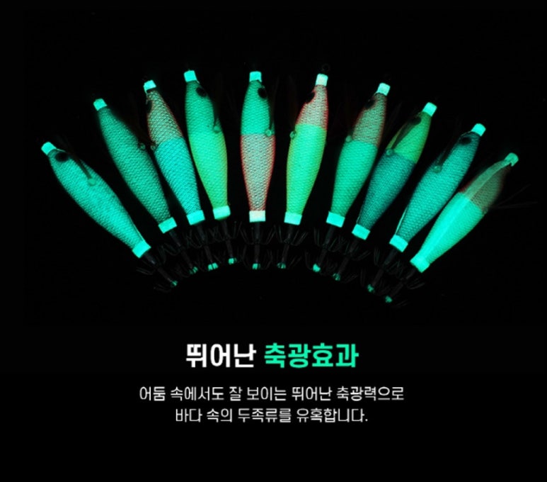 비다컴퍼니 이미지