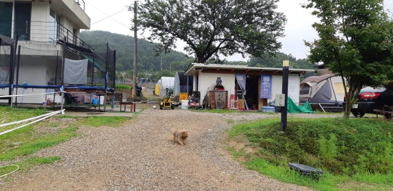 달콤이네 캠핑장 이미지