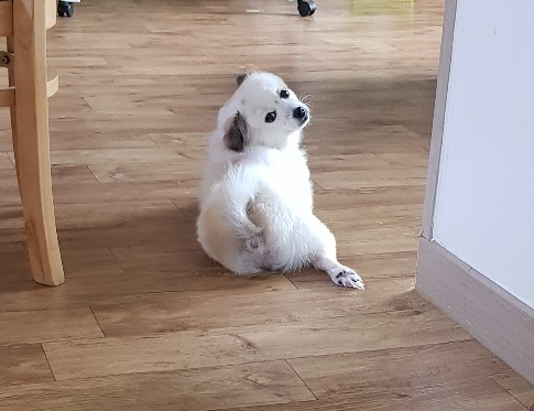 포스트다다 이미지