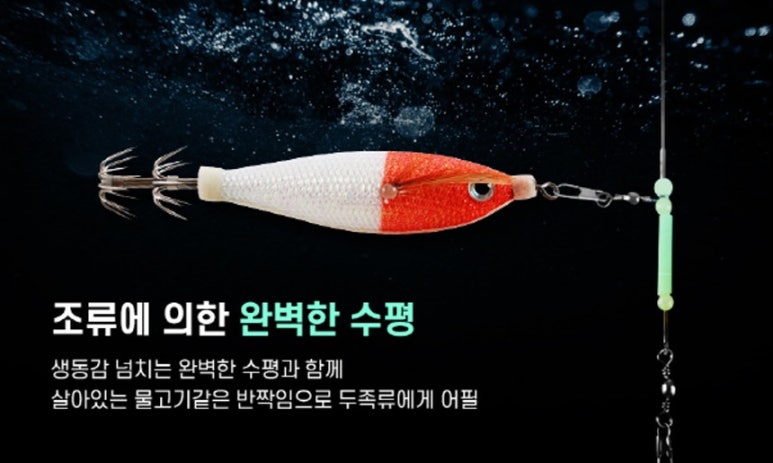 비다컴퍼니 이미지