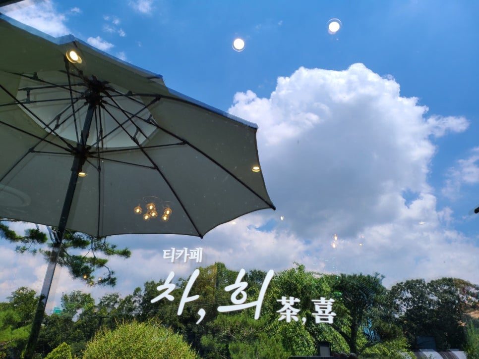 차*희 이미지