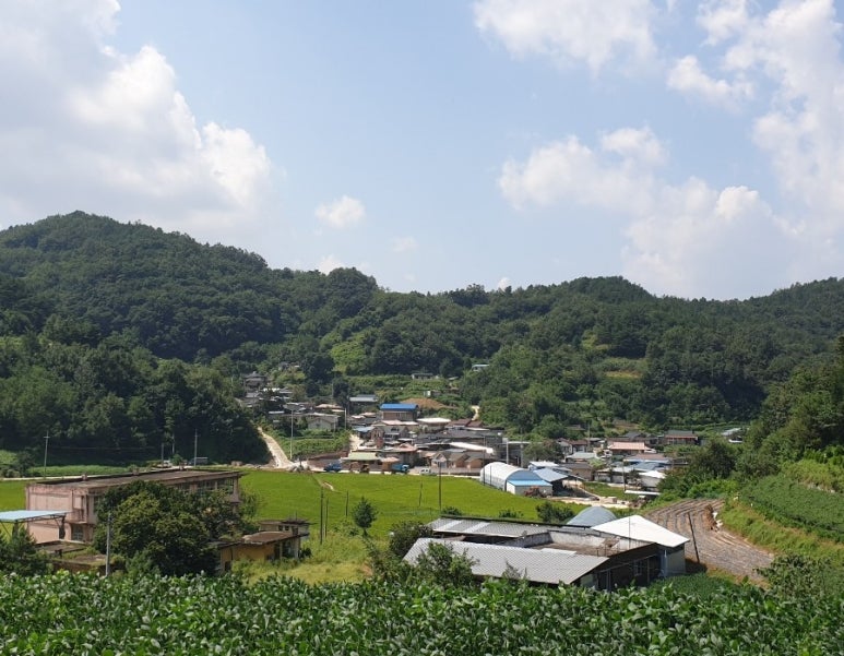 로와로운 이미지