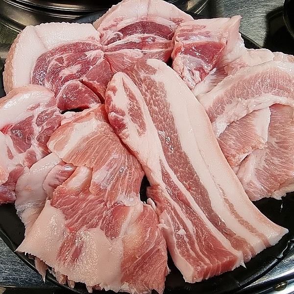 식껍 이미지