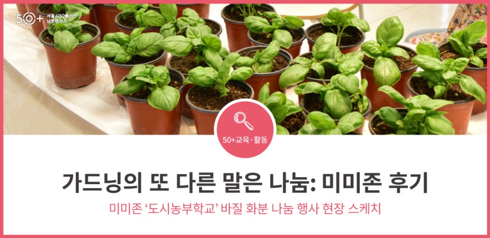 미미존 이미지