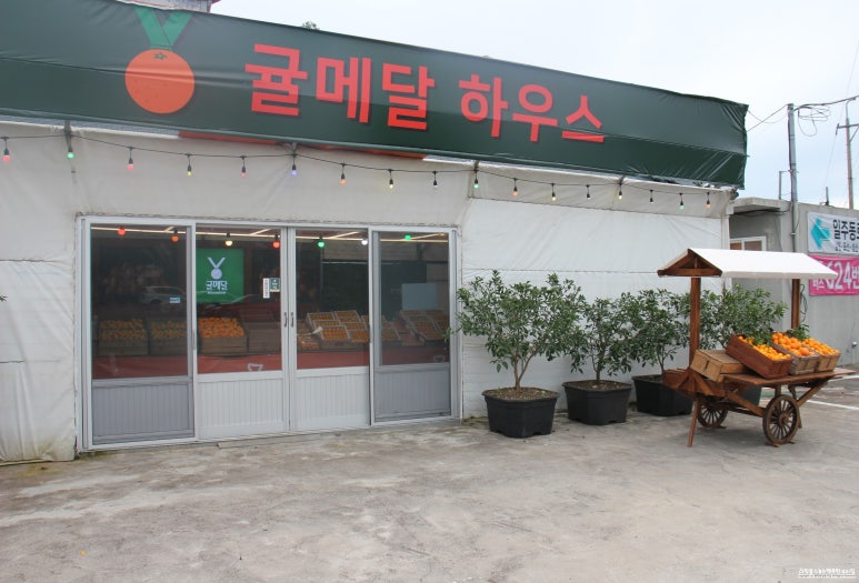 귤메달하우스 이미지