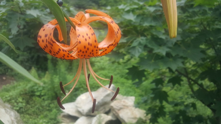 자연농장 이미지