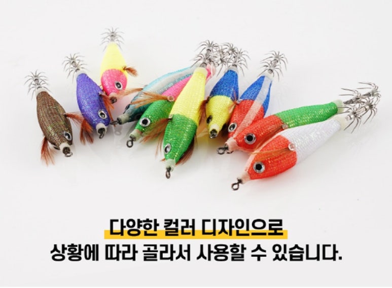 비다컴퍼니 이미지