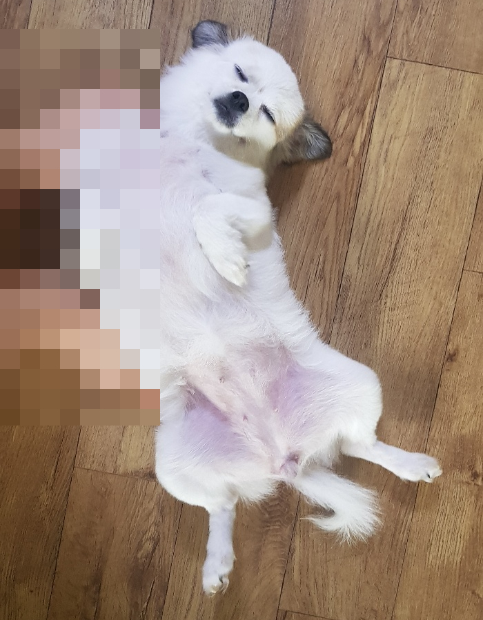 포스트다다 이미지