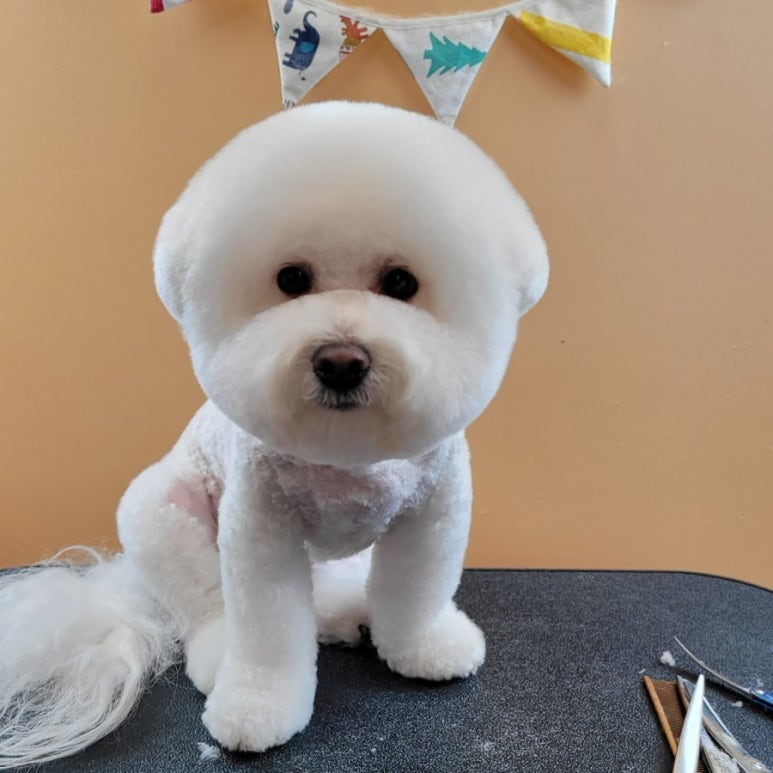 미용타운 이미지