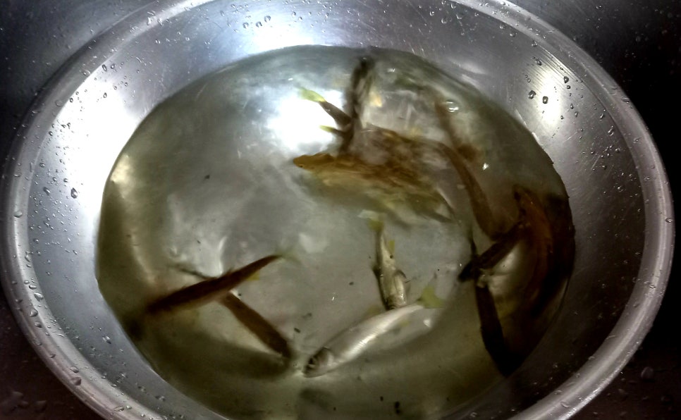 오리양념 이미지