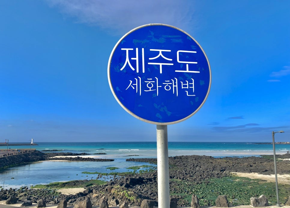 제주첫날두근 이미지