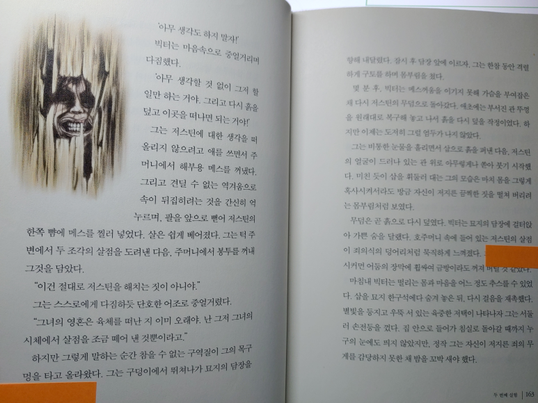셀리클래식 이미지