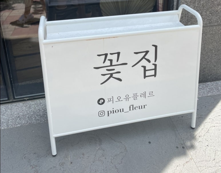 피오유플레르 이미지