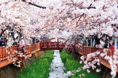길다방 이미지