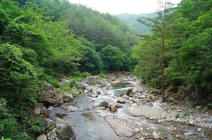 봉화별캠핑장 이미지
