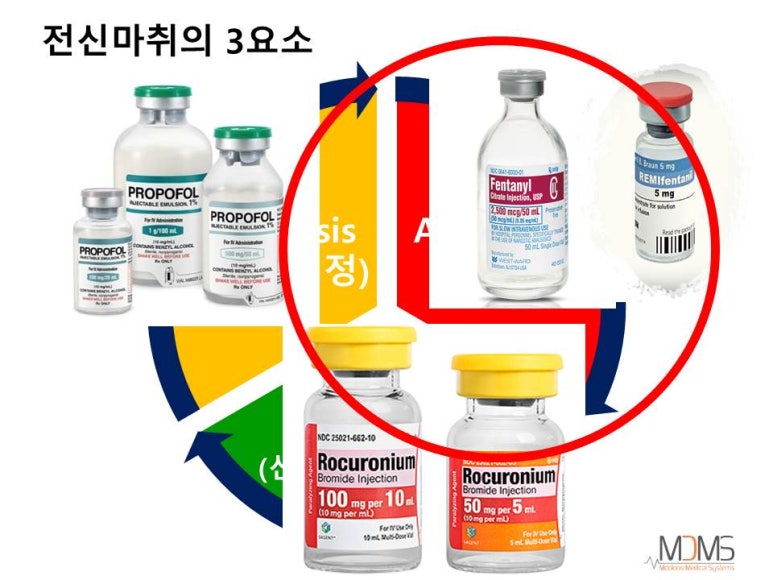 유진인터내셔날 이미지