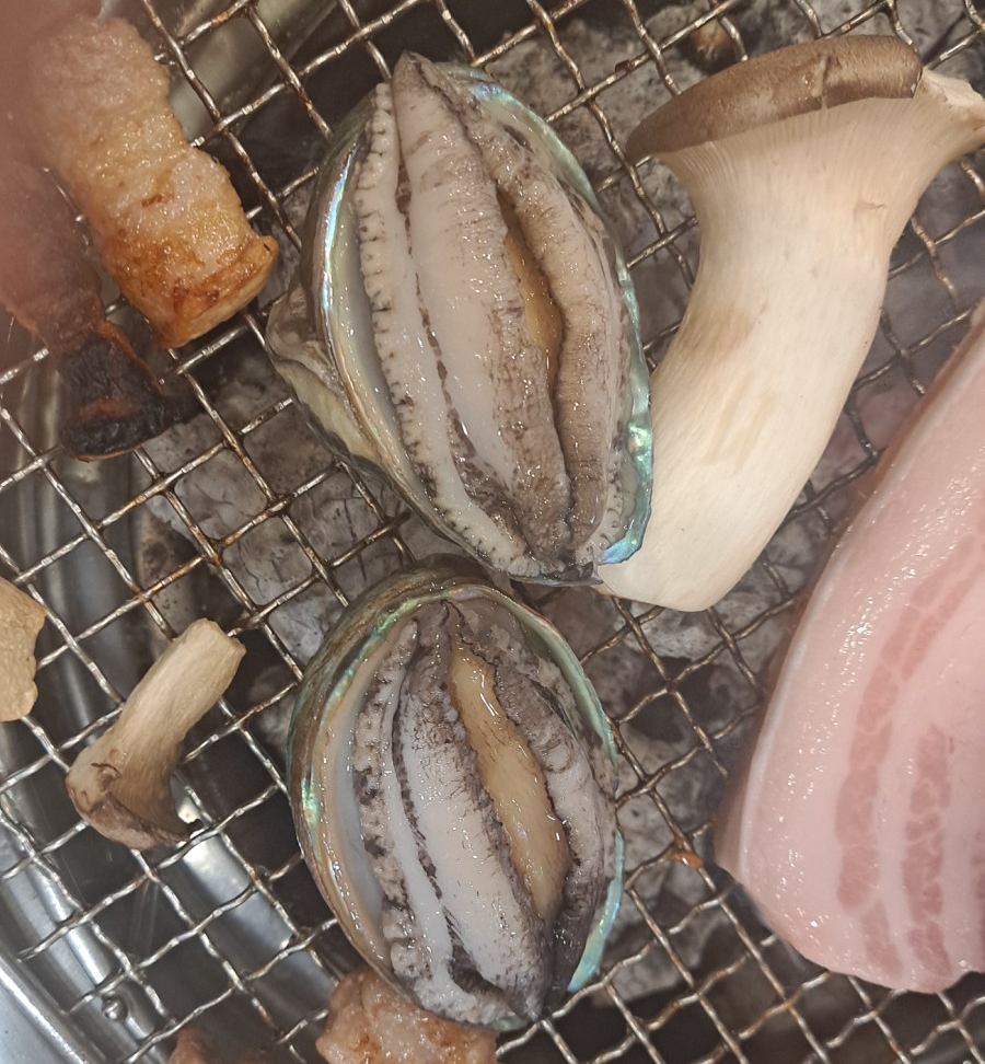한라돈이익는마을애 이미지