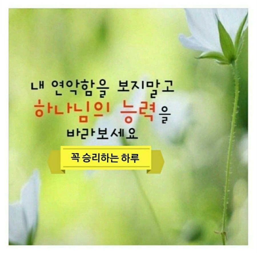 성공매니아 이미지