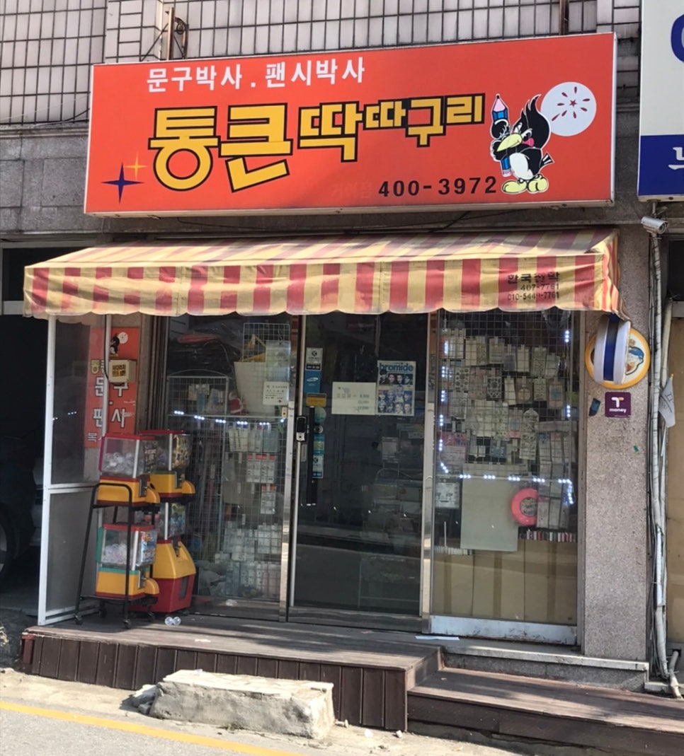 통큰딱따구리 이미지