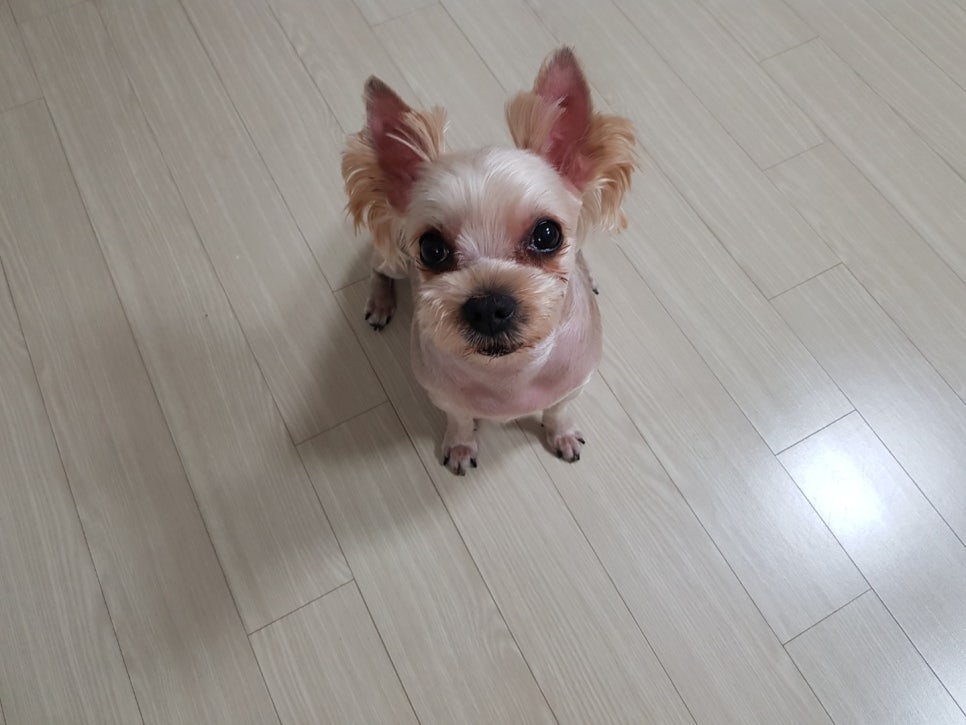 수니인테리어 이미지