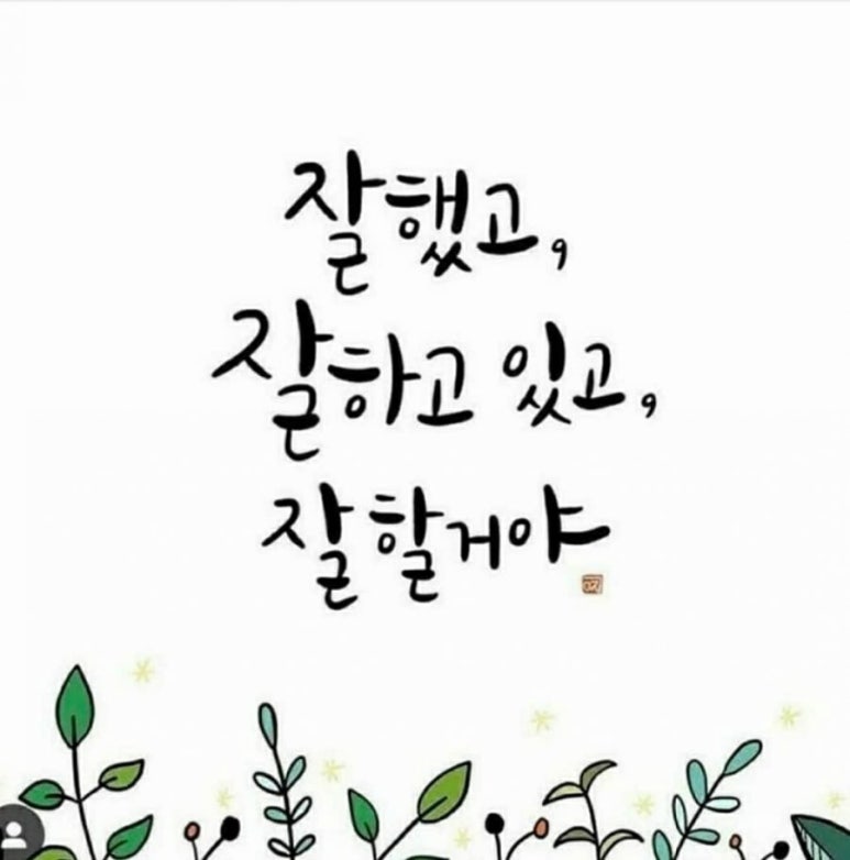 보라피아노 이미지