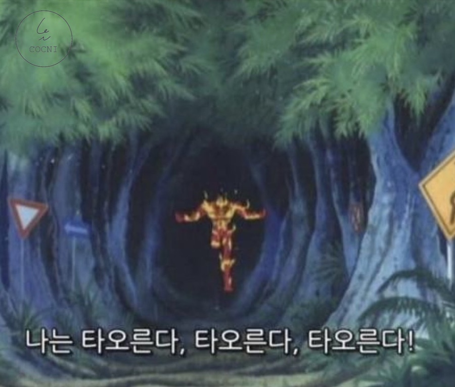 쿨냉면 이미지