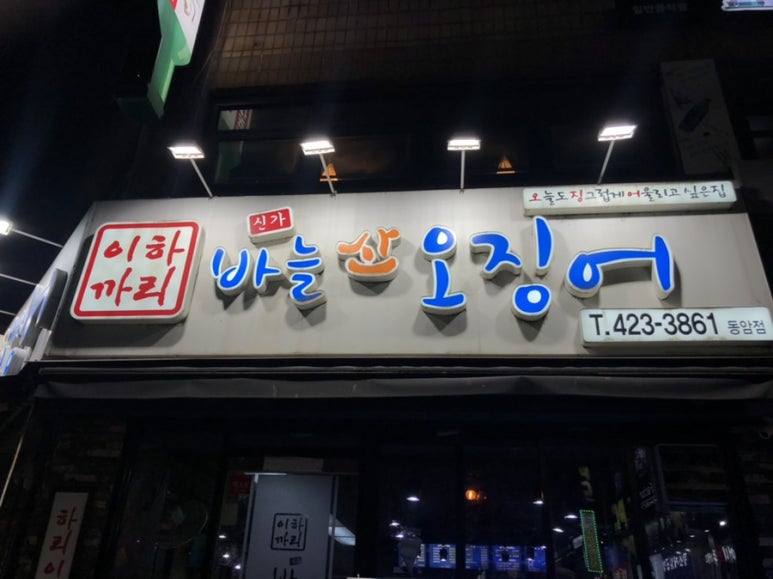 신가바늘산오징어 이미지