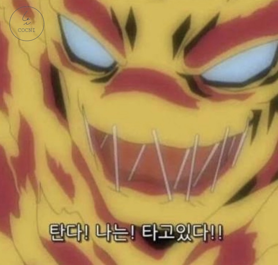쿨냉면 이미지