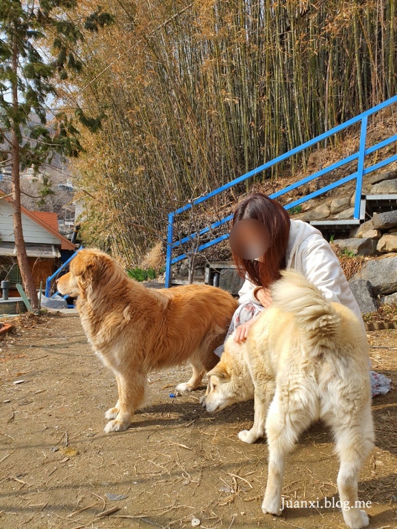 밭이랑반니랑 이미지