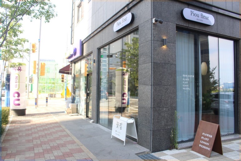피오유플레르 이미지