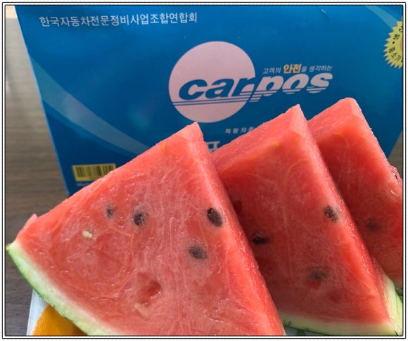 포니카센타 이미지