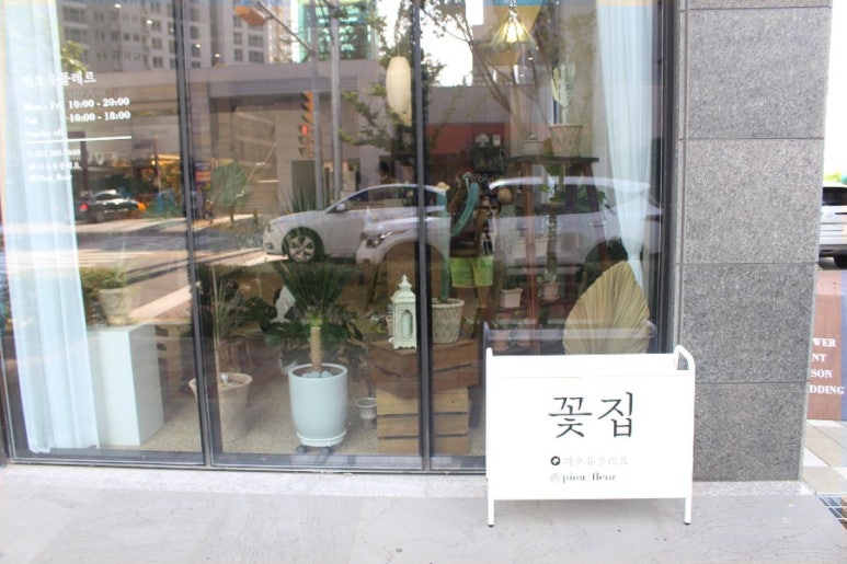 피오유플레르 이미지