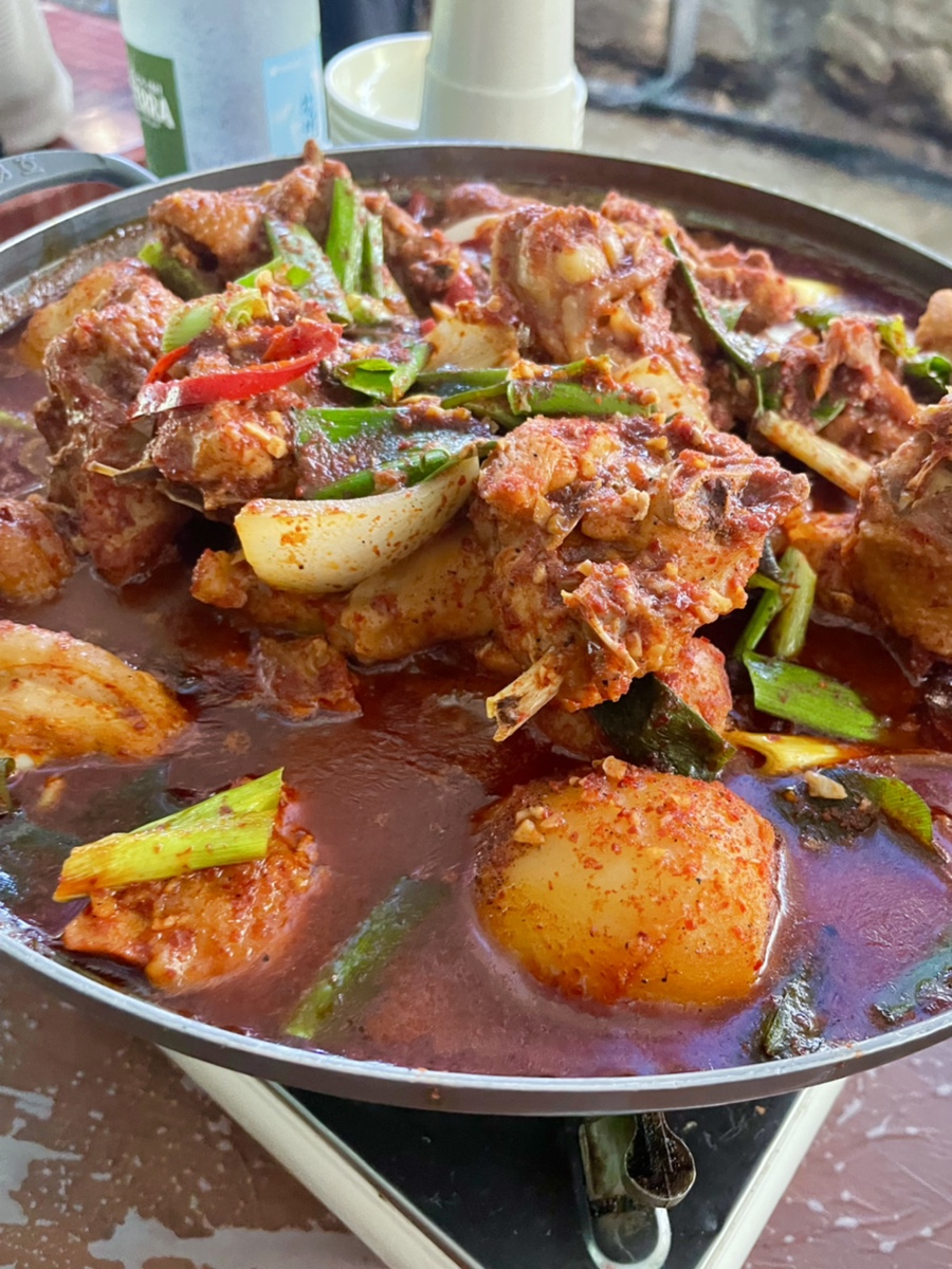 닭튜브 이미지