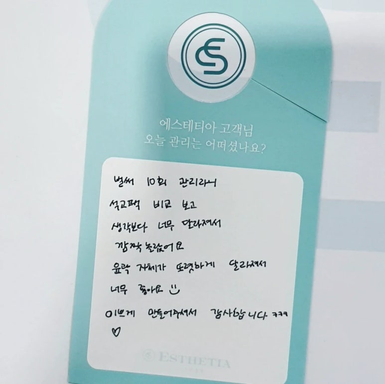 에스테티아세종소담 이미지
