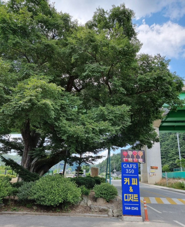 우리350카페 이미지
