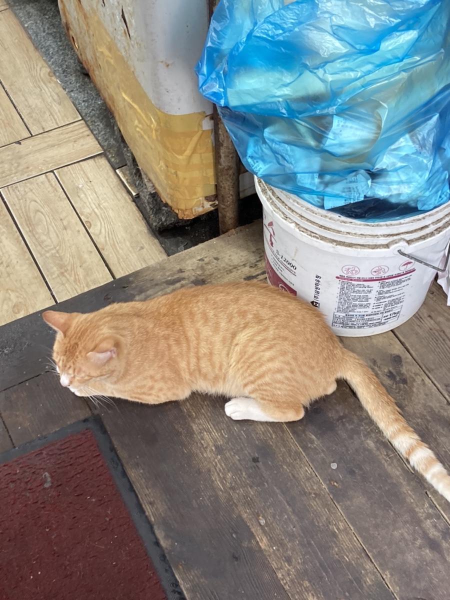 영덕회마을 이미지