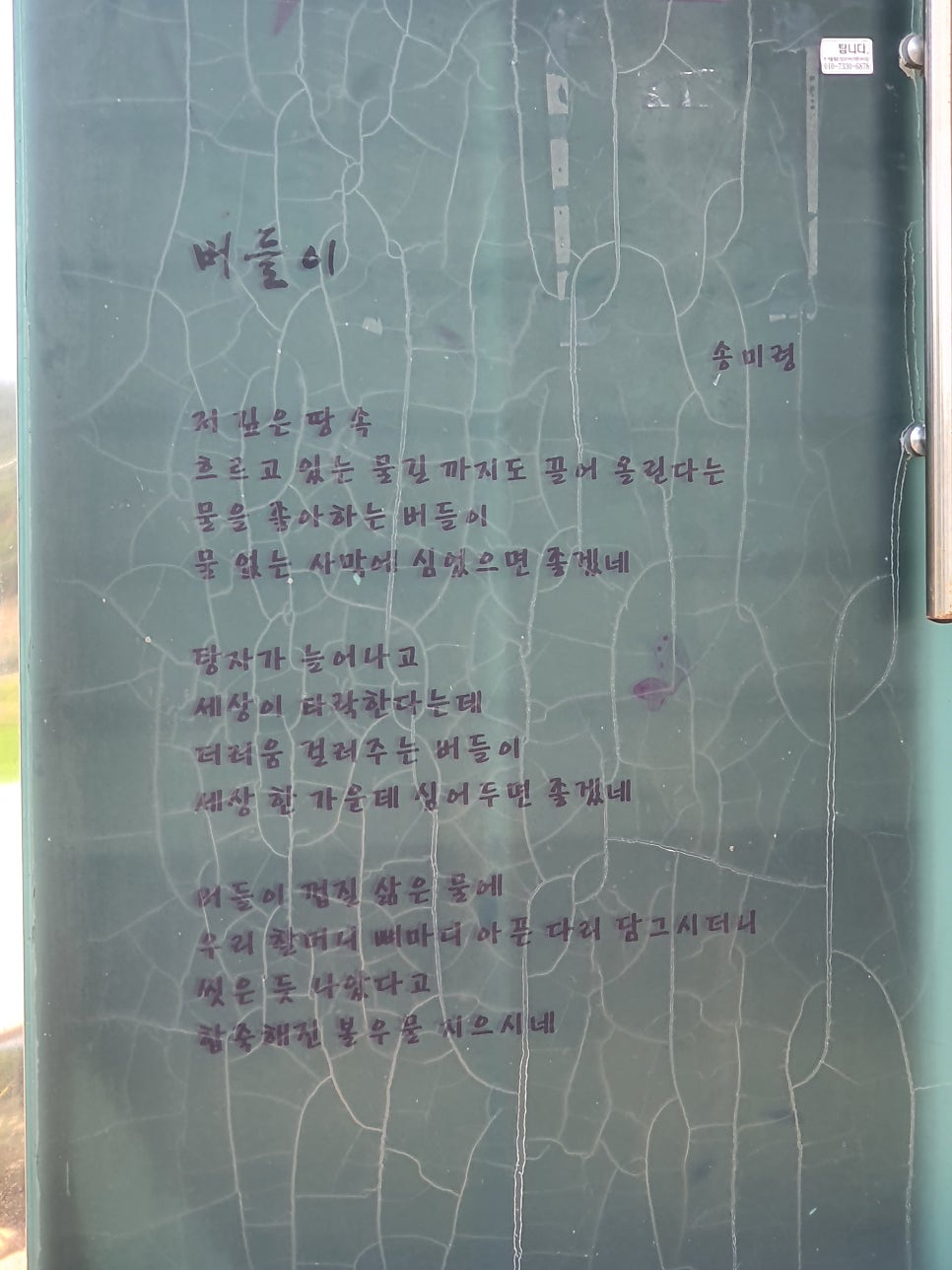 우포에버들국수 이미지