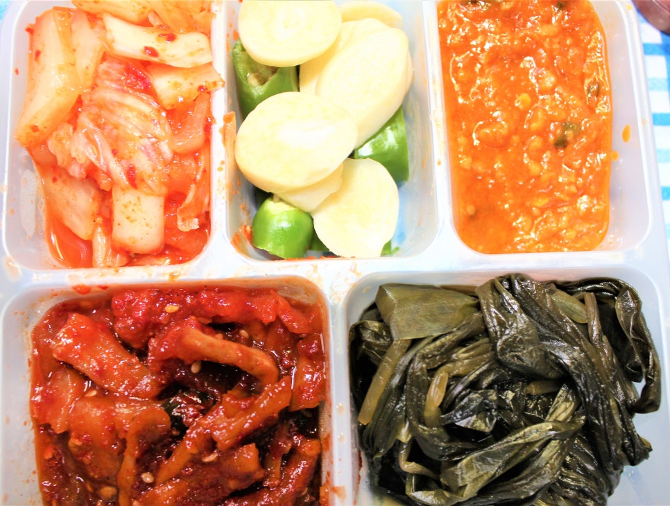 돈선장 이미지