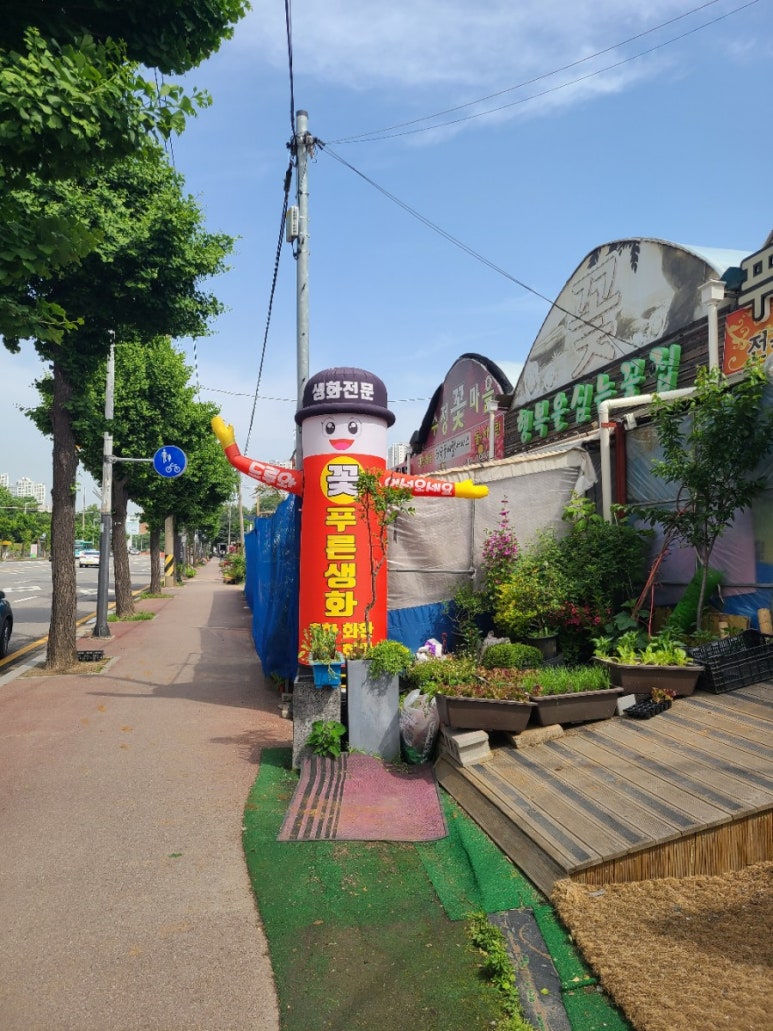 푸른생화 이미지