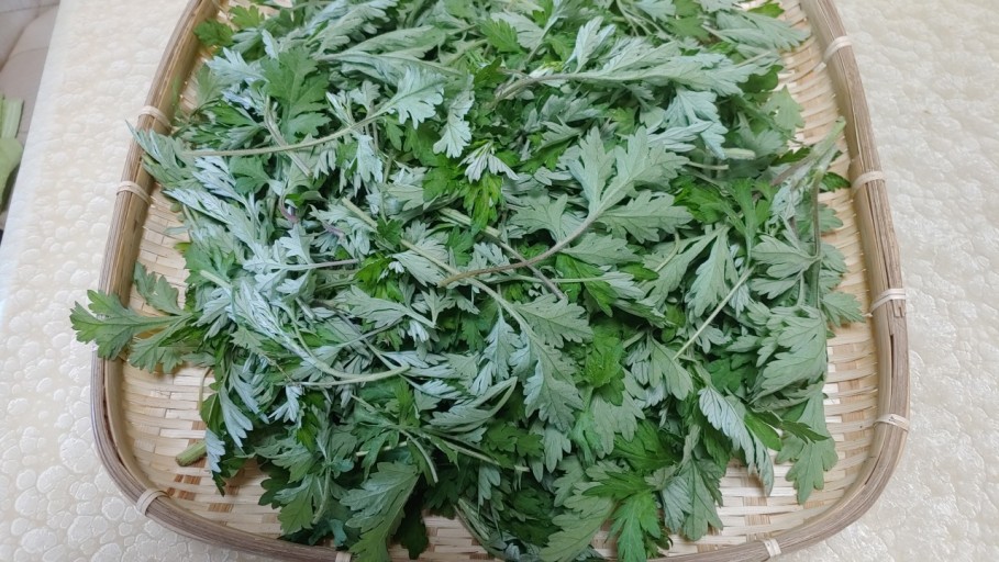 천년약초 이미지