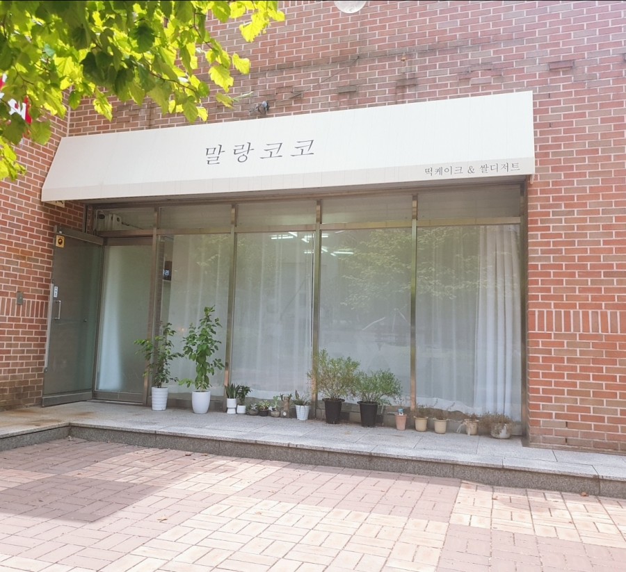 코코투유 이미지