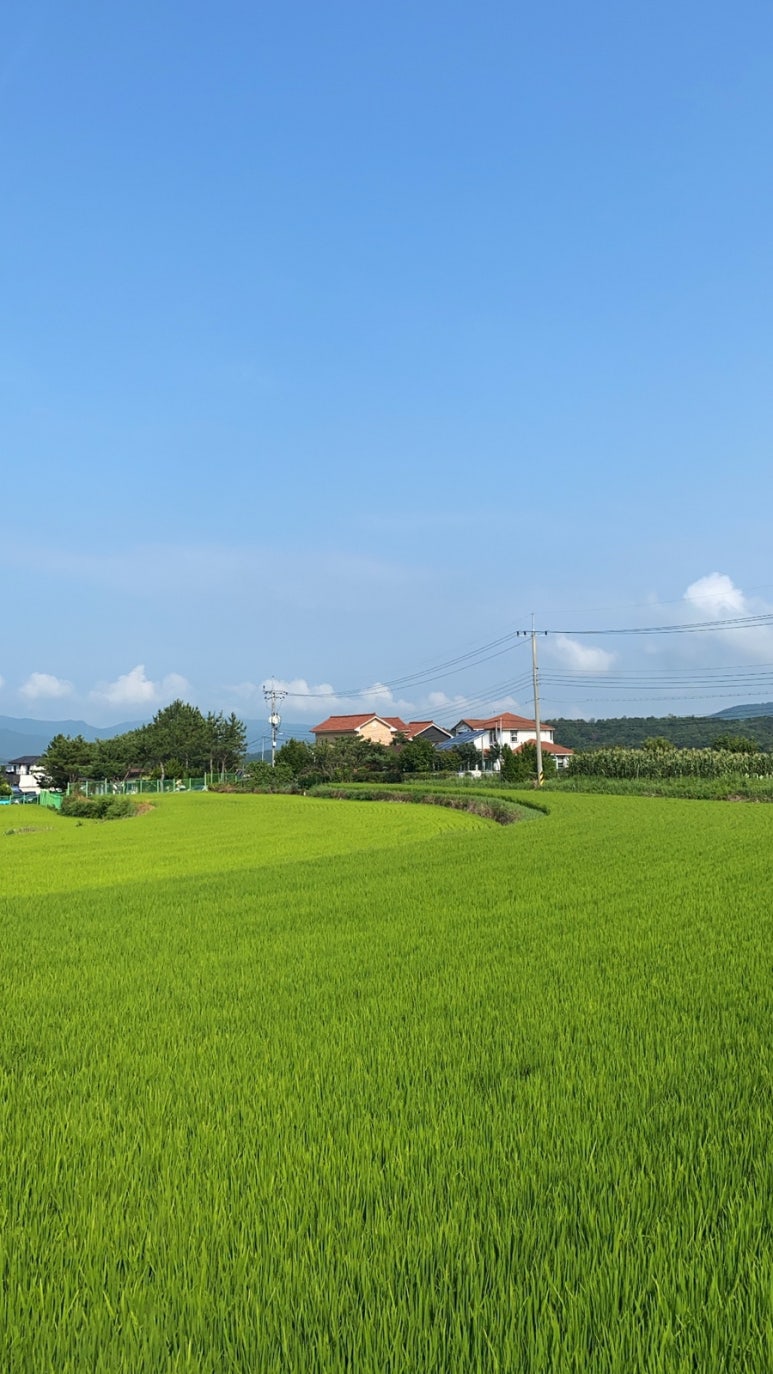 경주미담한옥풀빌라 이미지