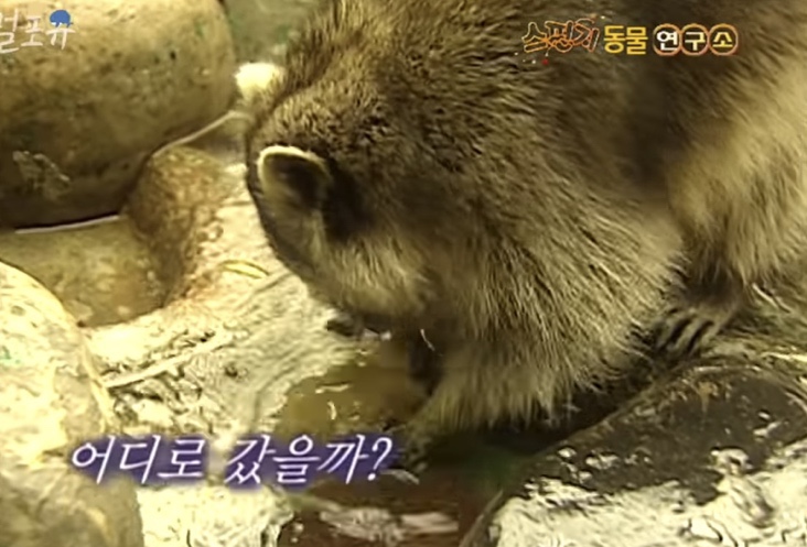크레뮤 이미지