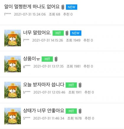 충주난 이미지