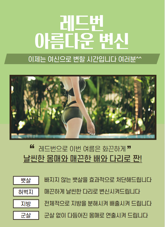 엘2알 이미지