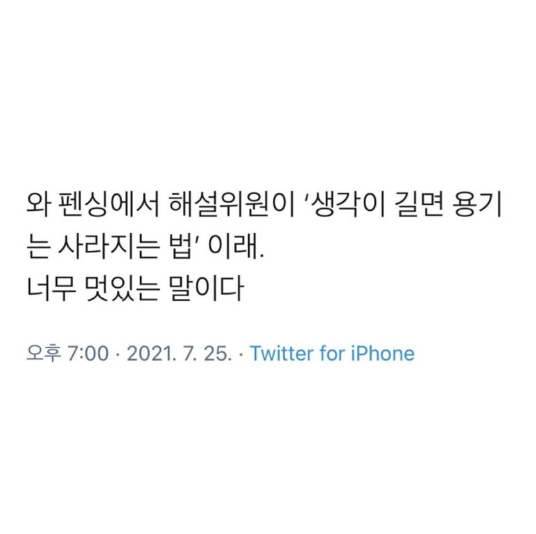 마이캐빈 이미지