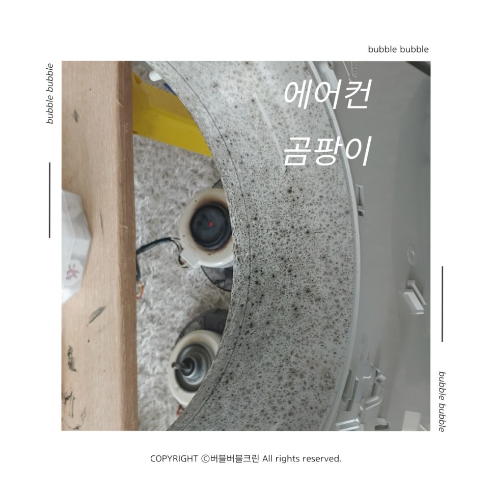 버블크린 이미지