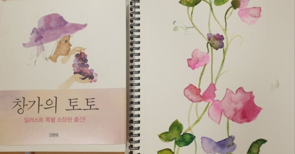 보라사 이미지