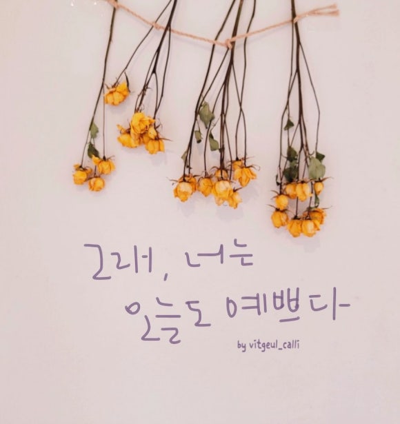 오늘도너는예쁘다 이미지
