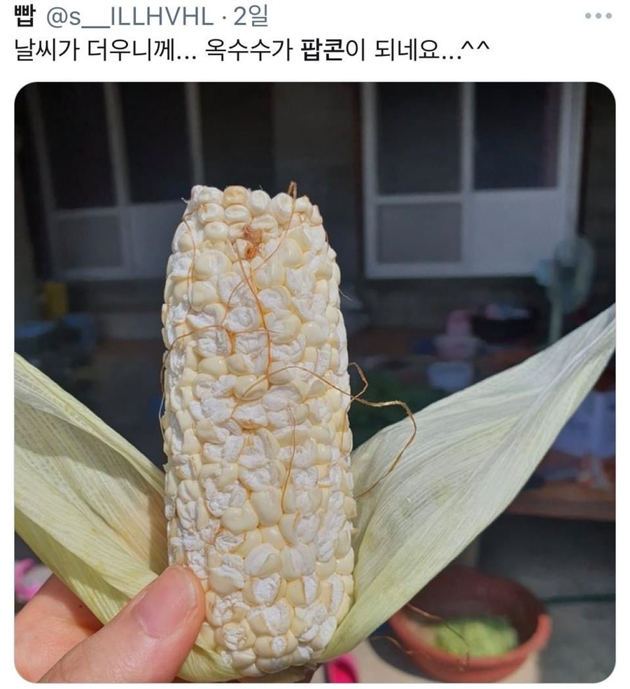 군산 전자담배 이미지